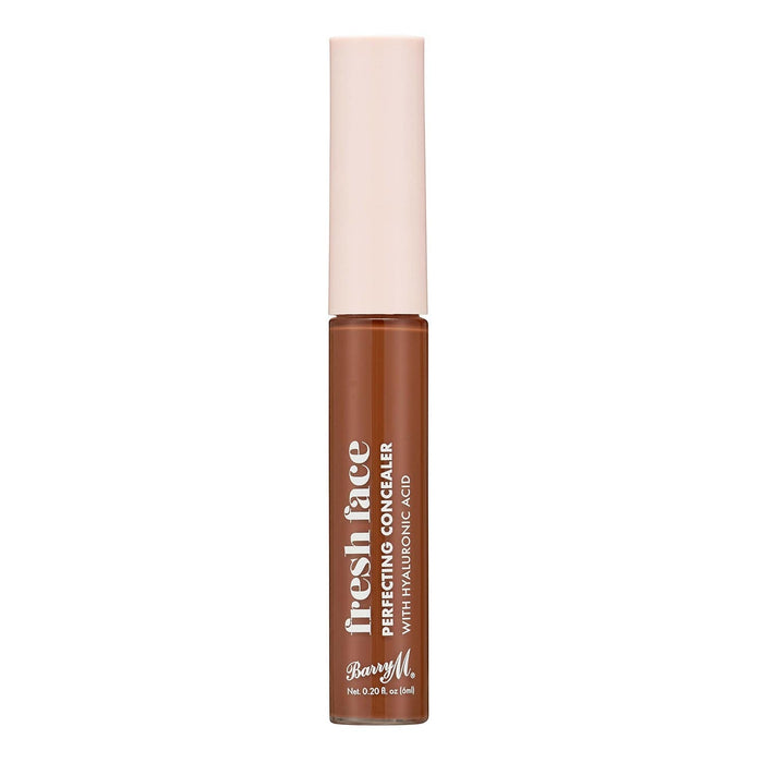 barry m Fresh Face Perfecting Concealer