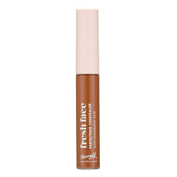 barry m Fresh Face Perfecting Concealer