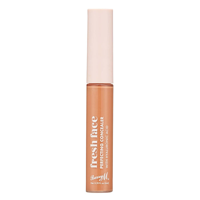 barry m Fresh Face Perfecting Concealer