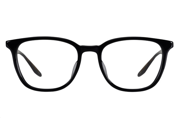 barton perreira Steinam Black / Sulcata Tortoise