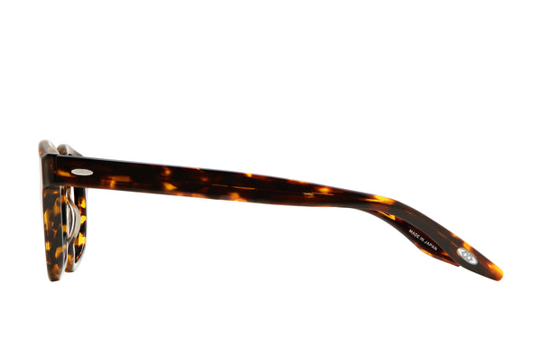 Barton Perreira Oxford Sun Classic Tortoise / Viridian (AR)