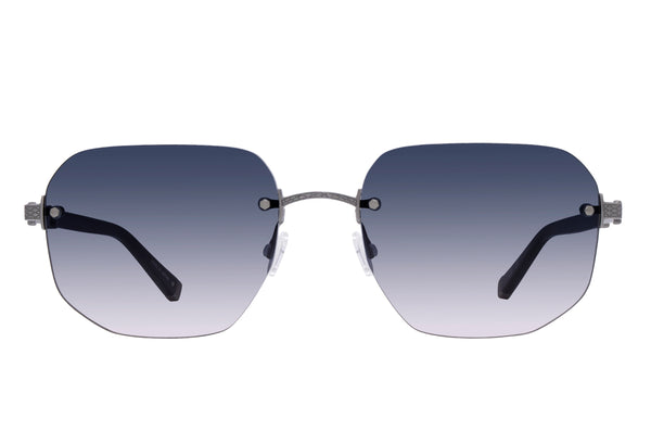 Barton Perreira Quinn Sulcata Tortoise / Silver / Laurel Gradient (AR)