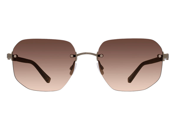 Barton Perreira Quinn Sulcata Tortoise / Silver / Laurel Gradient (AR)