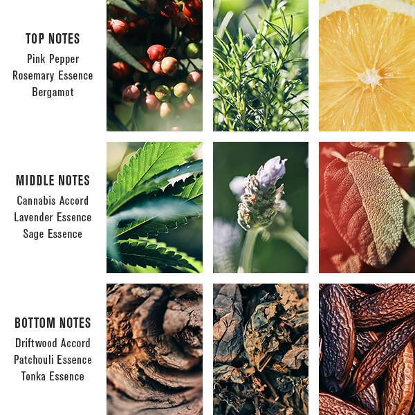 Baxter Of California Pacific Cannabis Eau De Parfum Unisex Fragrance