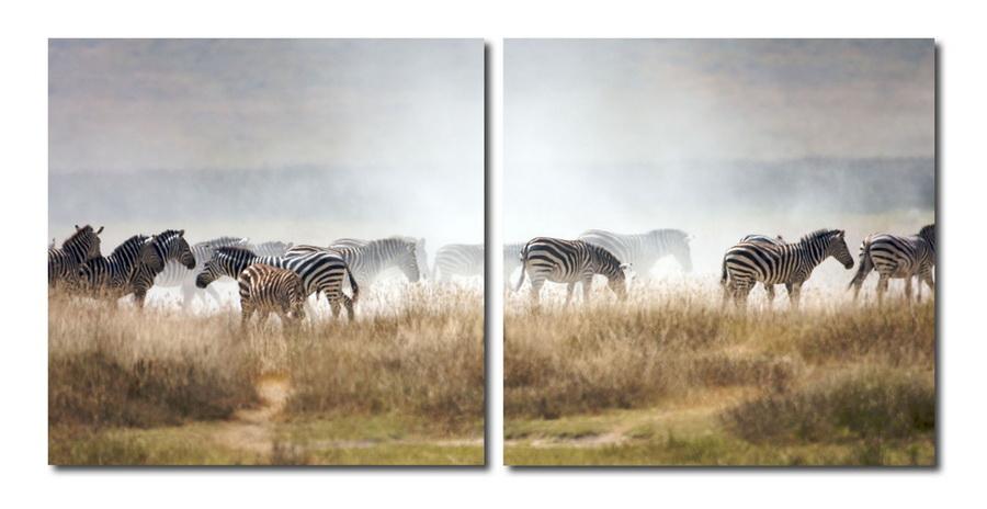 baxton studio Baxton Studio A Zeal of Zebras Mounted Photography Print Diptych