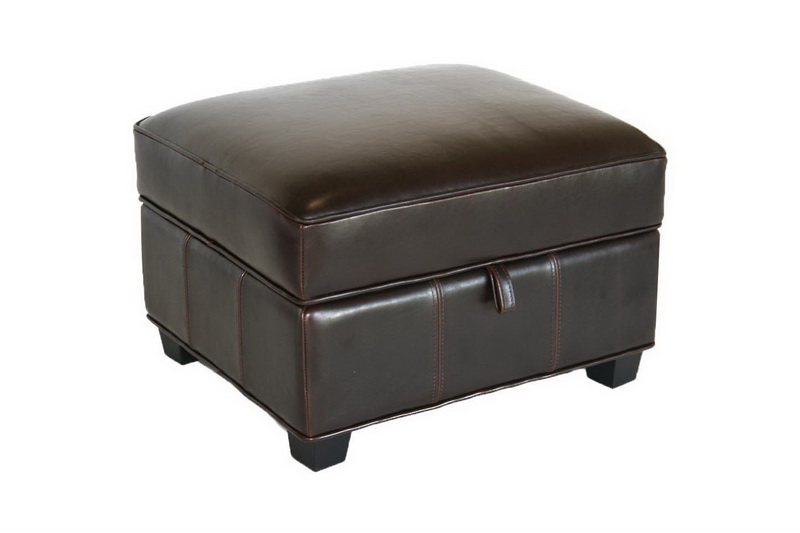 baxton studio Baxton Studio Agustus Brown Leather Storage Ottoman