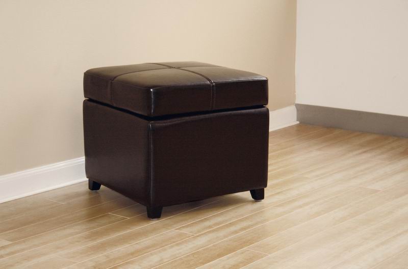 baxton studio Baxton Studio Dark Brown Full Leather Storage Cube Ottoman