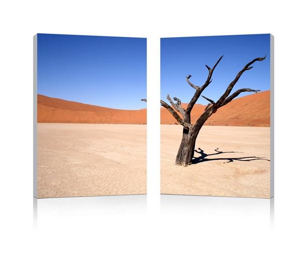 baxton studio Baxton Studio Desert Solitude Mounted Photography Print Diptych