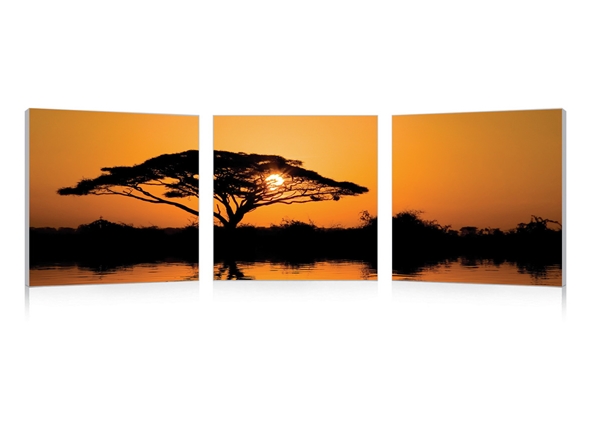 baxton studio Baxton Studio Savannah Sunset Mounted Photography Print Triptych