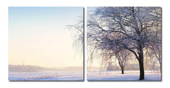 baxton studio Baxton Studio Snowy Solitude Mounted Photography Print Diptych