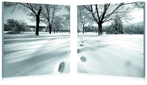 baxton studio Baxton Studio Telltale Trail Mounted Photography Print Diptych