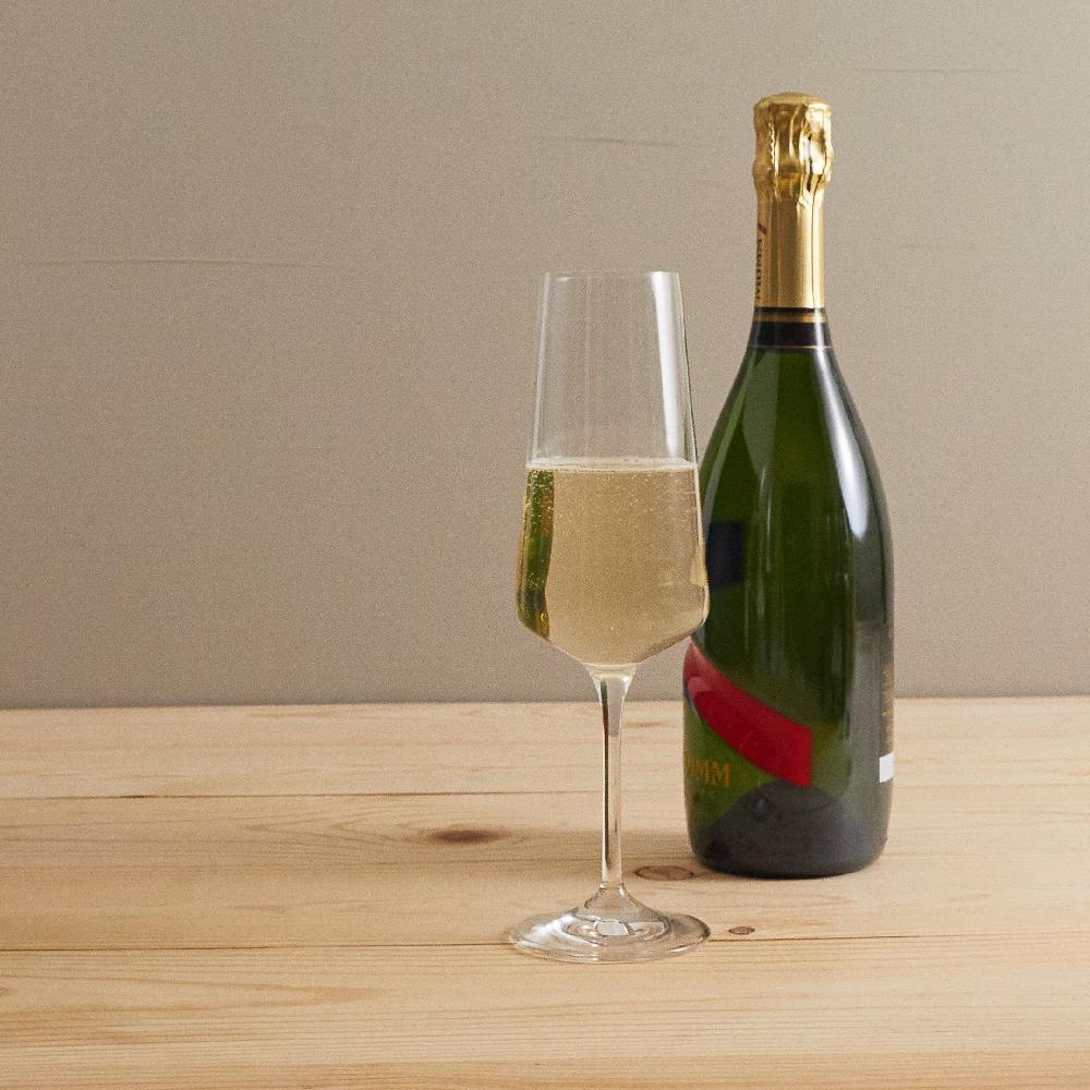 Be Home Aria Champagne Flute Set Of 6