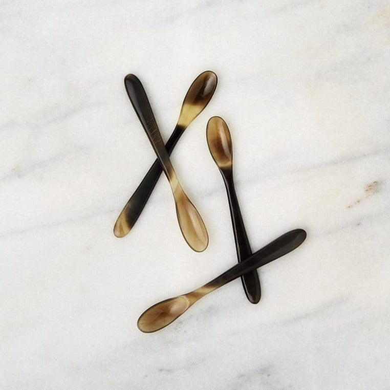 be home Horn Spice Spoons Set of 4