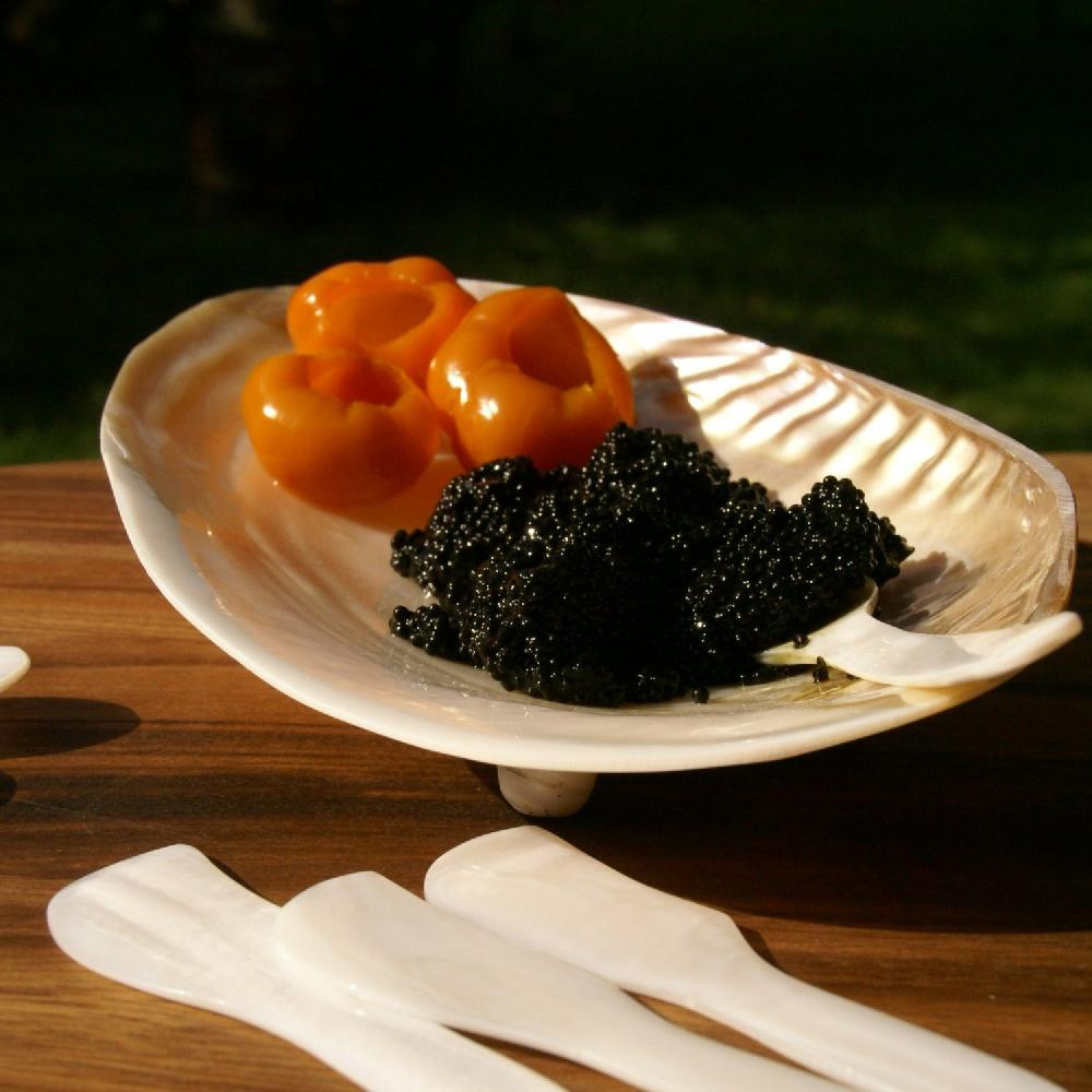 Be Home Seashell Footed Dish