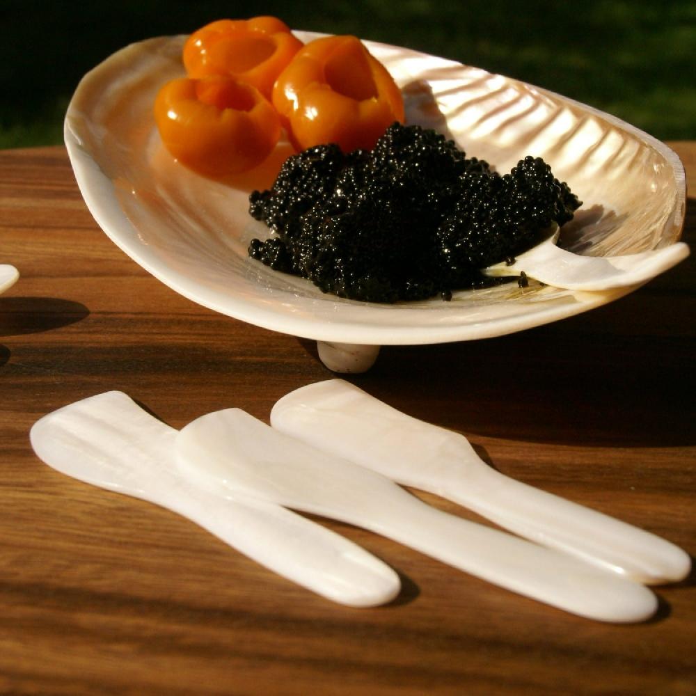 Be Home Shell Spreaders Set Of 4