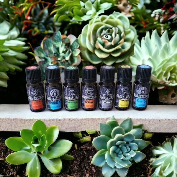 be natural Be Natural Organics' Favorite Organic Blends (7 Pack)