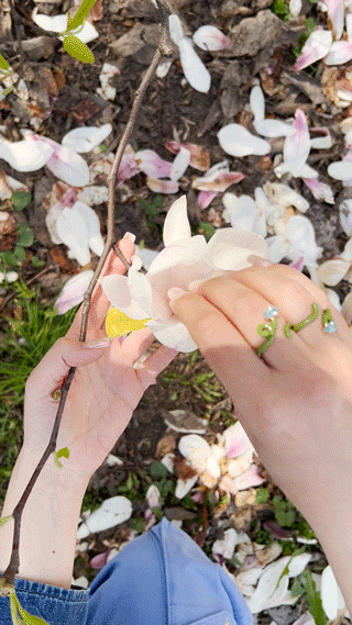 Bea Bongiasca BABY VINE RING ~ IN PISTACCHIO