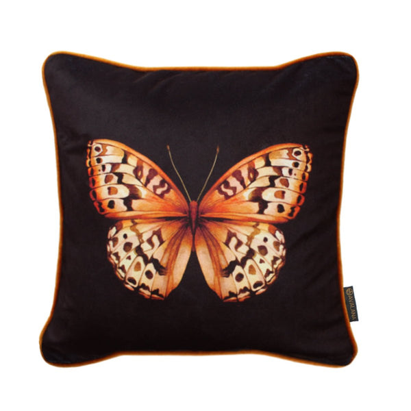 beau monde Avalana Golden Papilio Piped Velvet Cushion