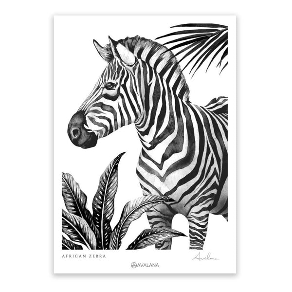 Beau Monde Avalana African Zebra Art Print