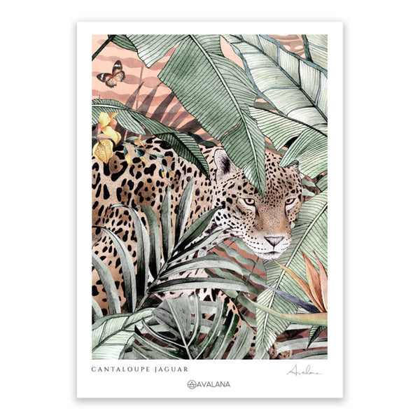 beau monde Avalana Cantaloupe Jaguar Art Print