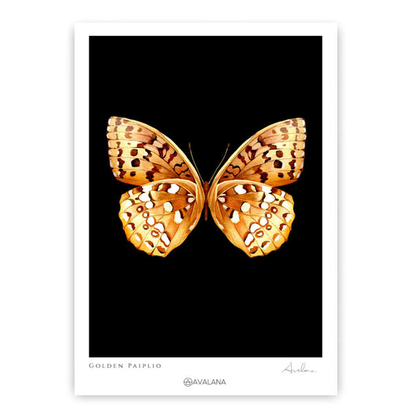 beau monde Avalana Golden Papilio Art Print
