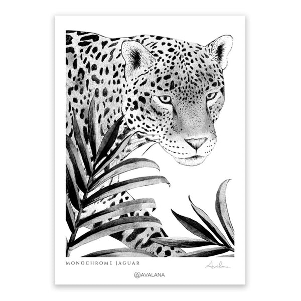 beau monde Avalana Monochrome Jaguar Art Print