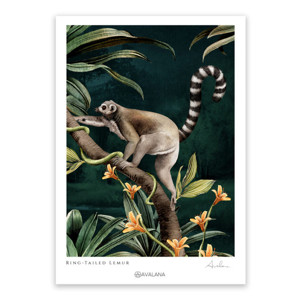 beau monde Avalana Ring Tailed Lemur Art Print