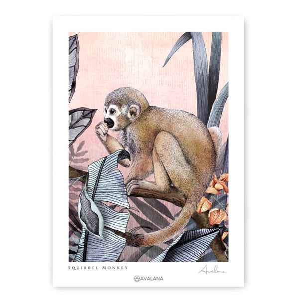 Beau Monde Avalana Squirrel Monkey Art Print