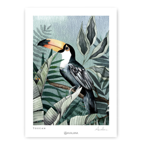 Beau Monde Avalana Toucan Art Print