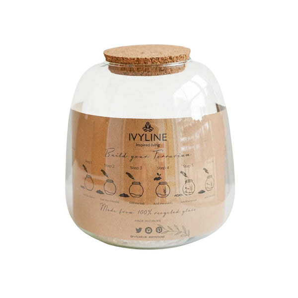 Beau Monde Ivyline Bowl Shape Terrarium DIY Kit