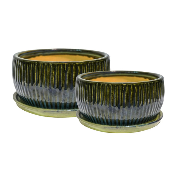 beau monde Ivyline Emerald Bonsai Planter Set