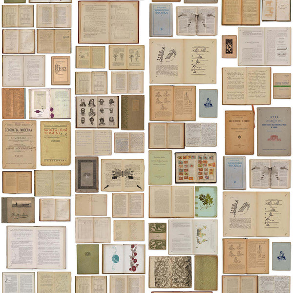 Beau Monde NLXL Books White Wallpaper