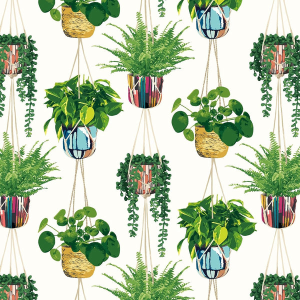 Beau Monde Ohpopsi Houseplant Wallpaper - Parakeet