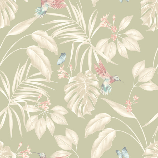 Beau Monde Ohpopsi Hummingbird Wallpaper - Sage