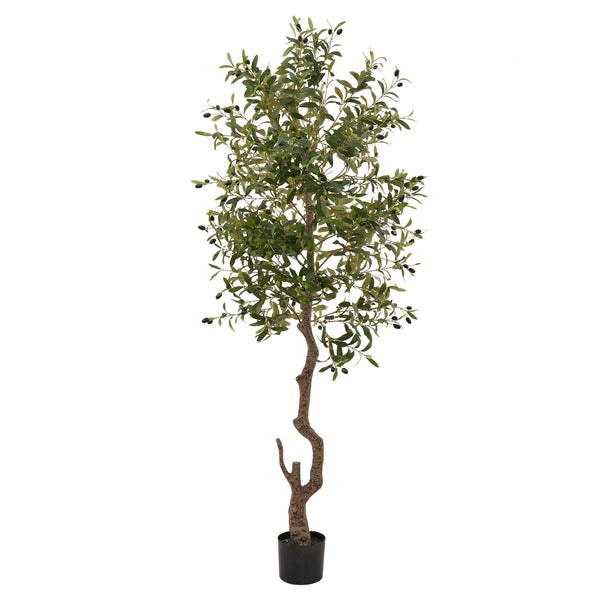 beau monde Hill Interiors Calabria Large Olive Tree