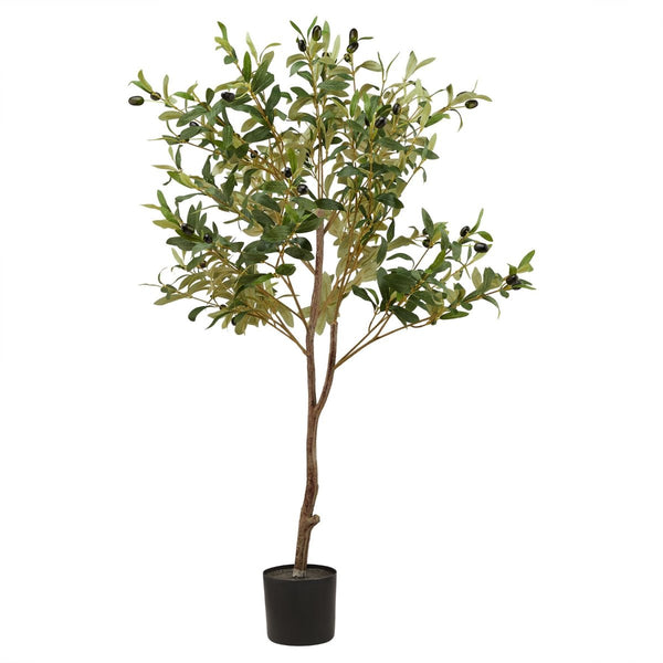 Beau Monde Hill Interiors Calabria Small Olive Tree