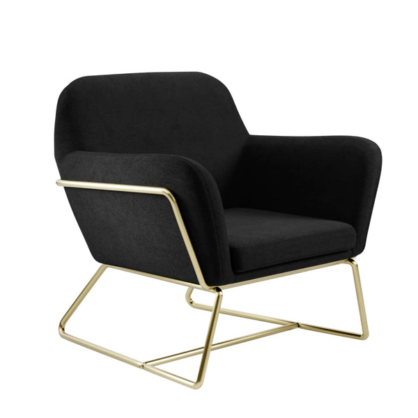 beau monde HO+ME Charles Armchair In Black Velvet And Brushed Gold