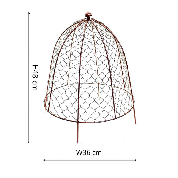 beau monde Ivyline Outdoor Wire Netted Plant Cloche Protector