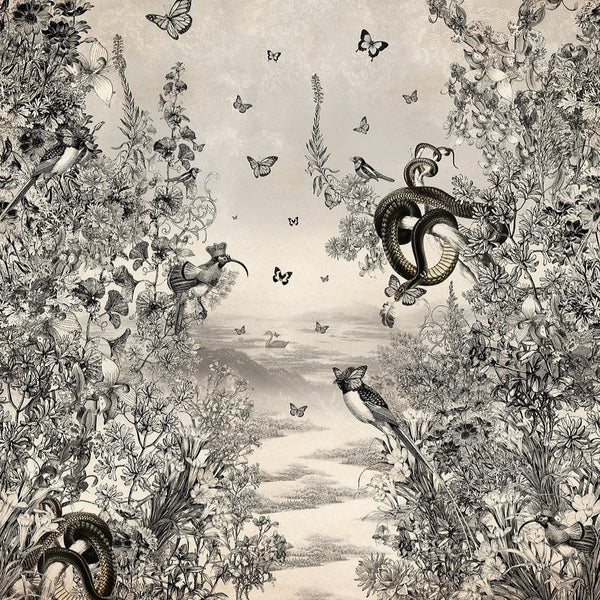 Beau Monde Santorus Cygnus Et Serpentium Wallpaper Mural