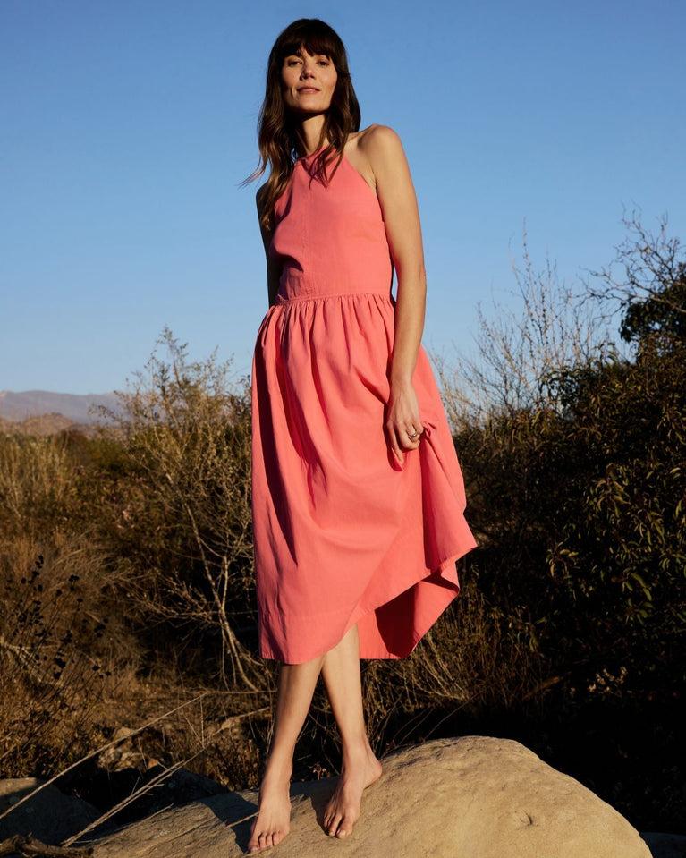 bella dahl Fitted Midi Halter Dress - Hibiscus Pink