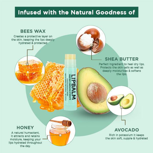 Bella Vita The Lip Balm - 5 G