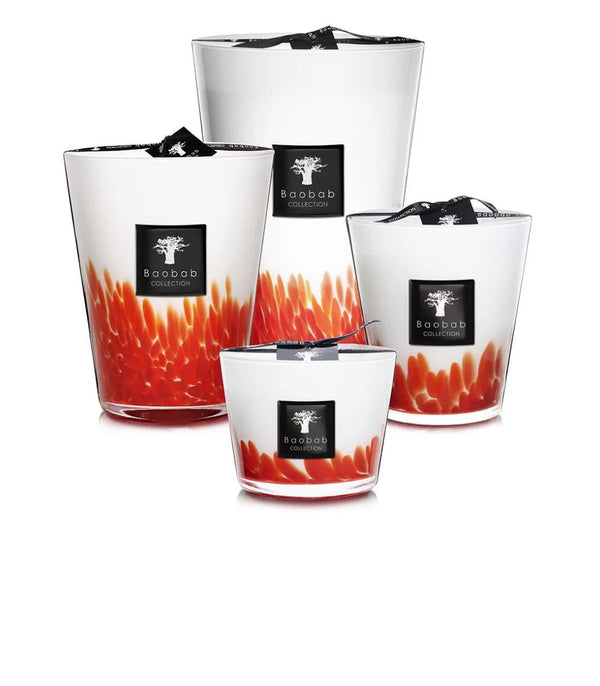 Bellápierre Baobab Collection Feathers Maasai Candles