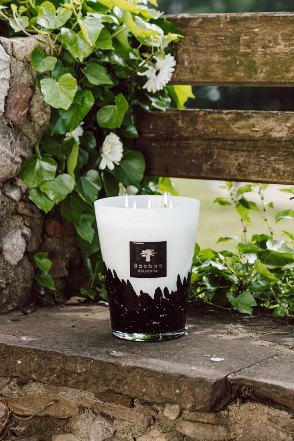 Bellápierre Baobab Collection Feathers Candles