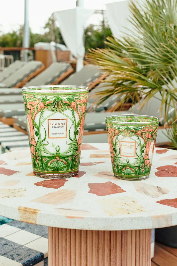 bellápierre Baobab Collection Tomorrowland