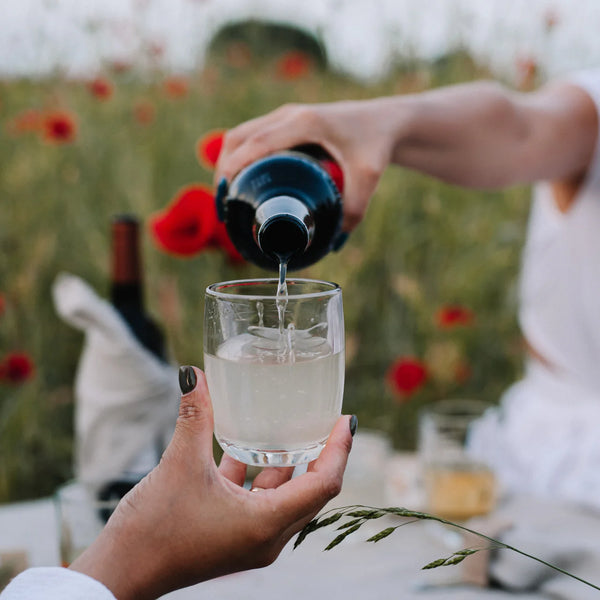 Bellápierre Set Of 6 La Rochere Dragonfly Tumbler