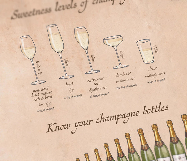 Bellápierre Wine Puzzle - Champagne