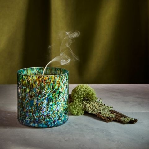 Bellápierre Forest Oakmoss Absolute Candle – LAFCO New York