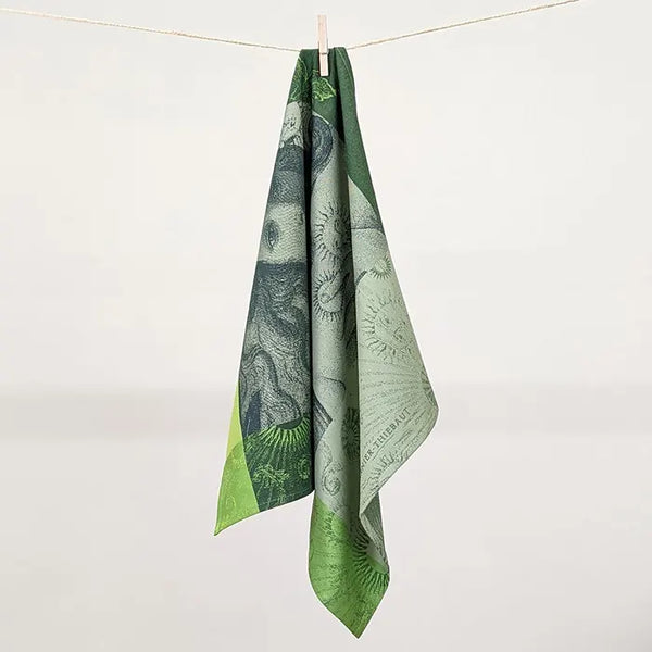 Bellápierre Garnier-Thiebaut | Venus De Botticelli Jacquard Kitchen Towel