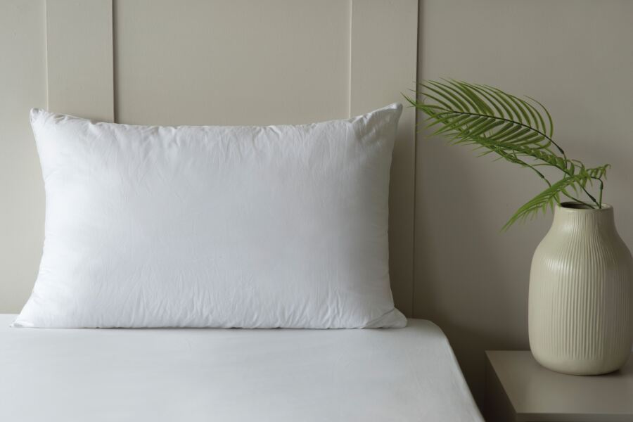 Belledorm Australian 100% Wool Pillow