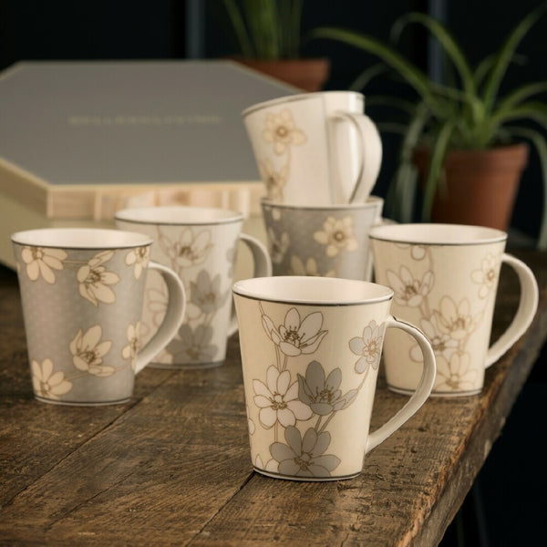 Belleek Belleek Living Bay Flowers 6 Mugs Hexagon Box